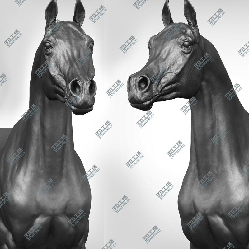 images/goods_img/20210113/3D Horse Collection Vfx Full Cinematic Realistic Zbrush Sculpt 3D model/3.jpg